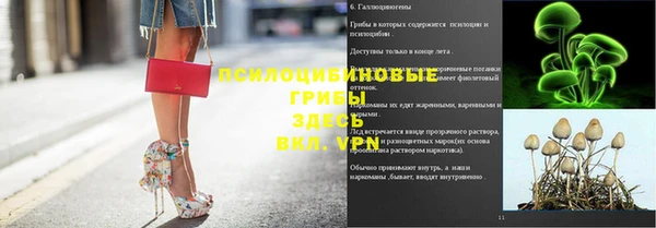 apvp Алзамай