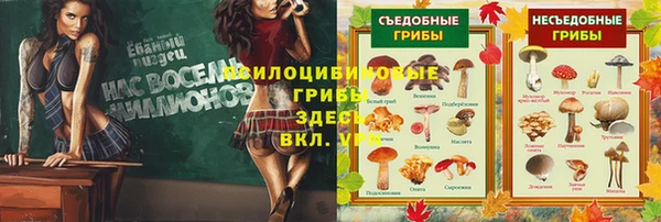 spice Новодвинск
