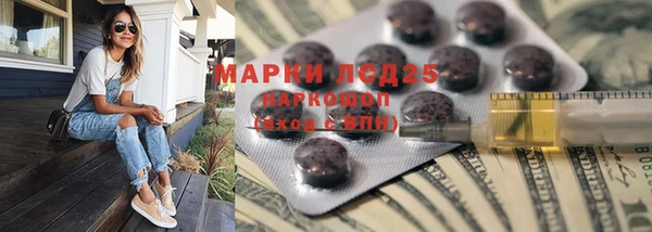 apvp Алзамай
